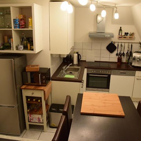 Central Apartment Magdeburg Bagian luar foto